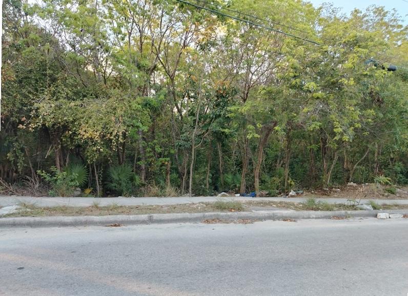 TERRENO DE USO MIXTO PARA DESARROLLO,BODEGA, ENCIERRO EN ZONA NORTE DE CANCUN