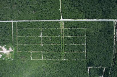 Terreno en Tulum Región 11