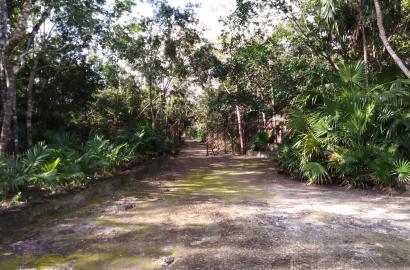Terreno en la Ruta de los Cenotes, Puerto Morelos