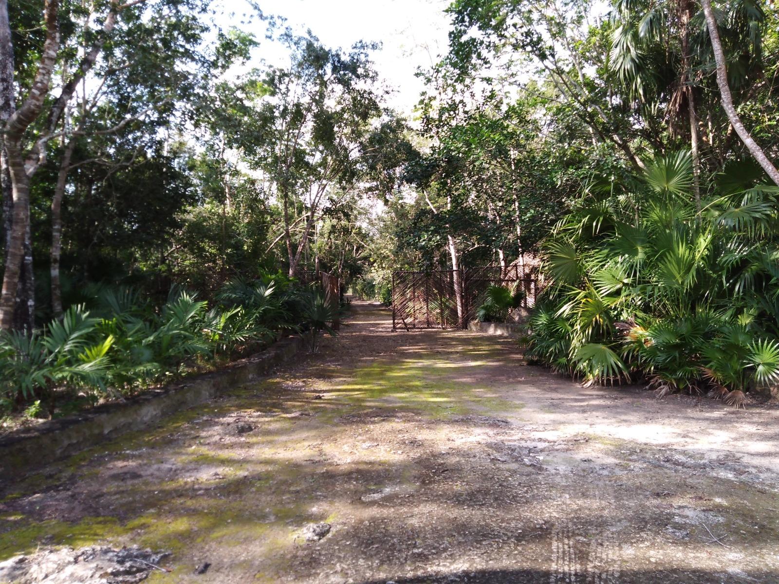 Terreno en la Ruta de los Cenotes, Puerto Morelos