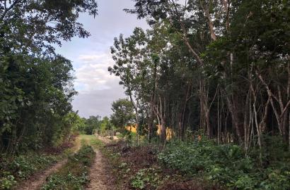 REMATO terreno de 2000 mts2 en Puerto Morelos