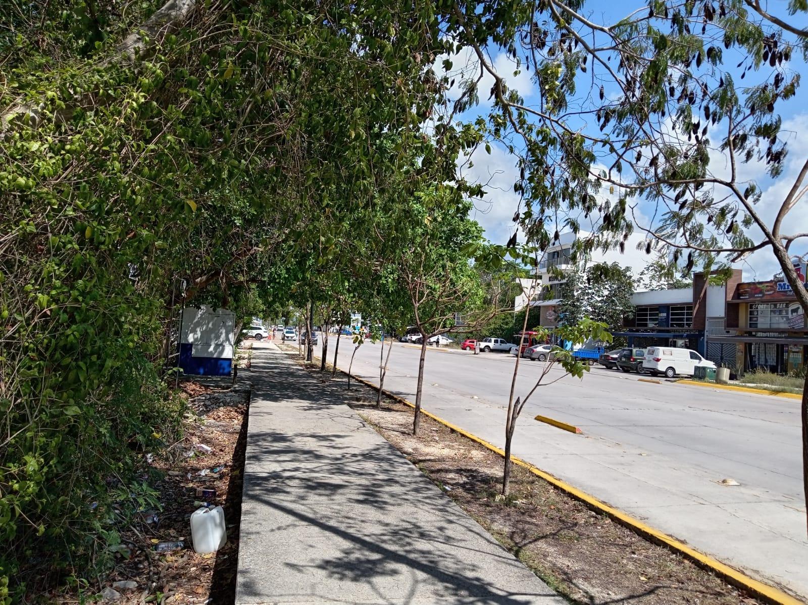 Terreno comercial en excelente ubicación de Playa del Carmen!