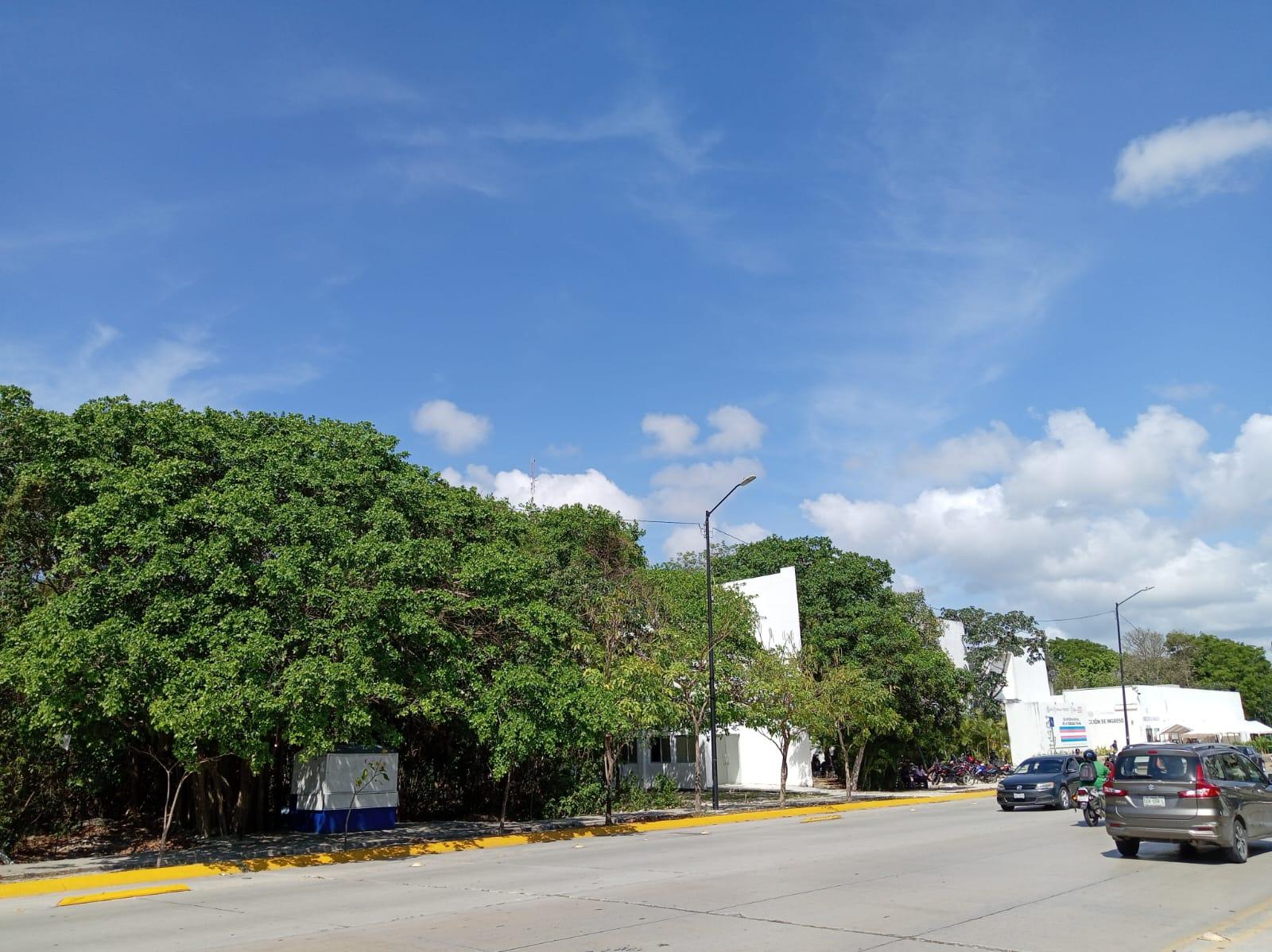 Terreno comercial en excelente ubicación de Playa del Carmen!