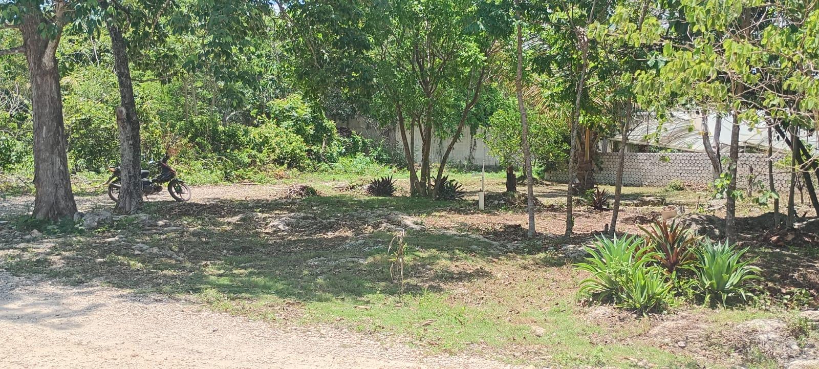 Terreno en esquina en Leona Vicario