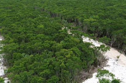 Terrenos con financiamiento y  escritura en Cancún