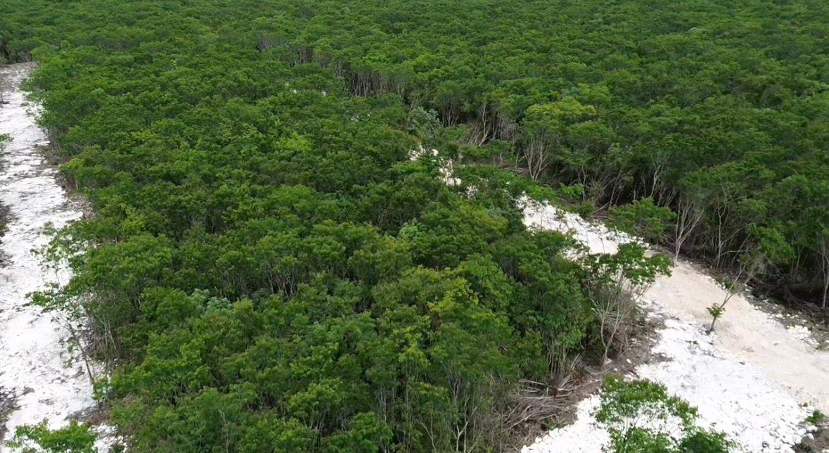 Terrenos con financiamiento y  escritura en Cancún