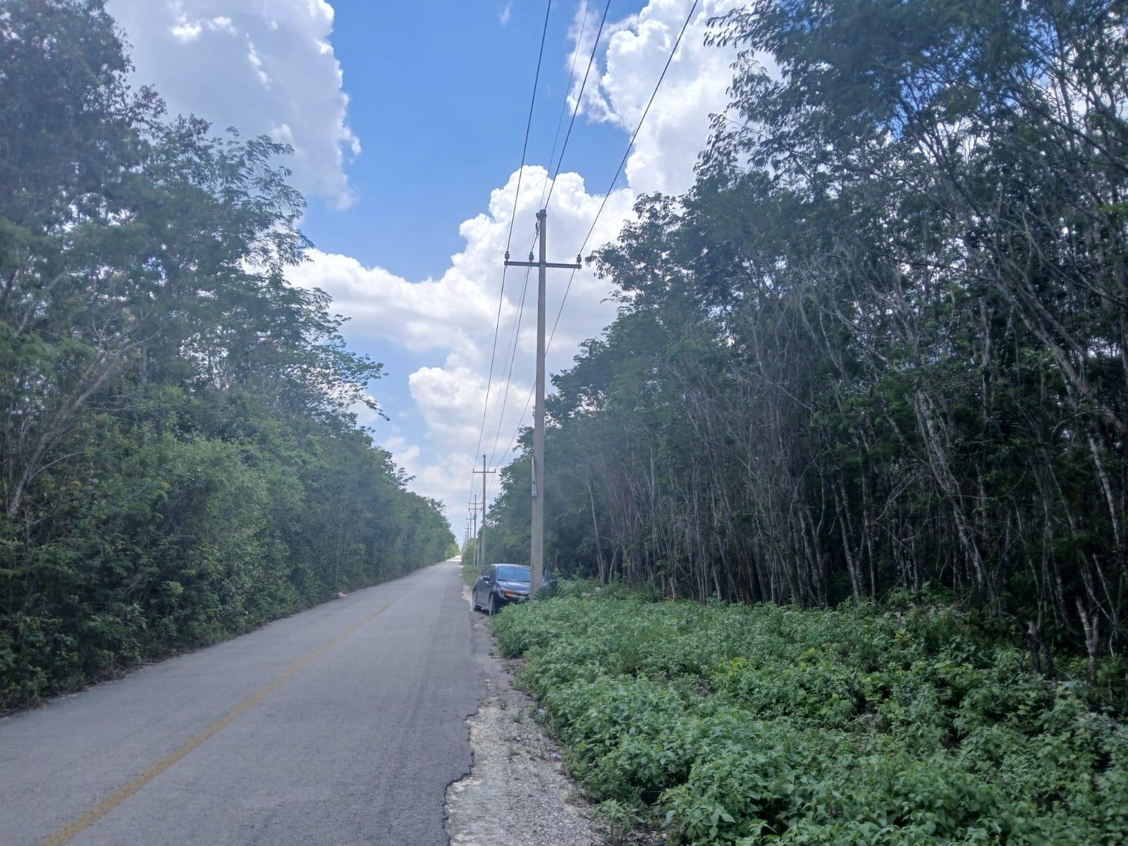 Remato 6.2 HECTÁREAS KM 7.7 CAMINO A FRANCISCO MAY CANCÚN