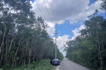 Remato 6.2 HECTÁREAS KM 7.7 CAMINO A FRANCISCO MAY CANCÚN