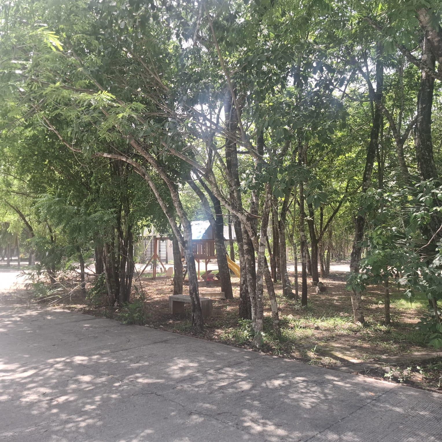 Terreno en Paseo del Parque Playa del Carmen