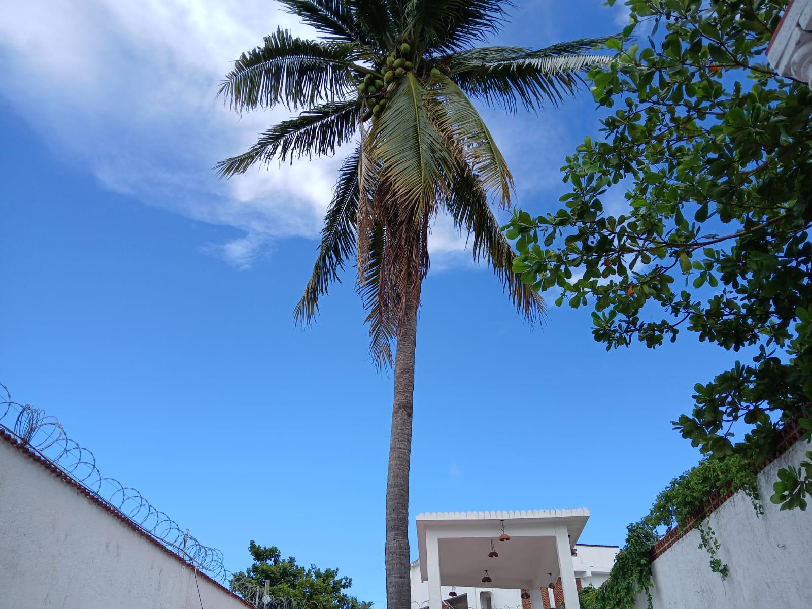 Casa de 4 recámaras a 1.3 km de Playa Puerto Juárez